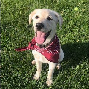 Meet your Posher, Holly